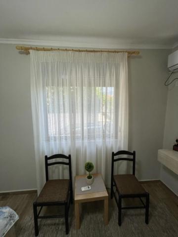 New Bazaar Jereina's Gasthof Tirana